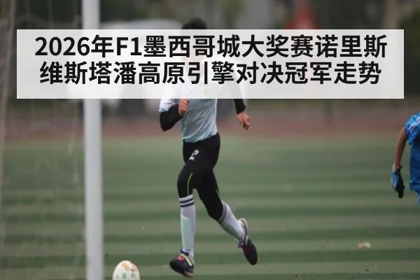 2026年F1墨西哥城大奖赛诺里斯维斯塔潘高原引擎对决冠军走势